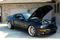 2009 Shelby Cobra Mustang